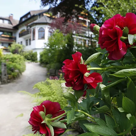 Waldblick Hotel Kniebis
