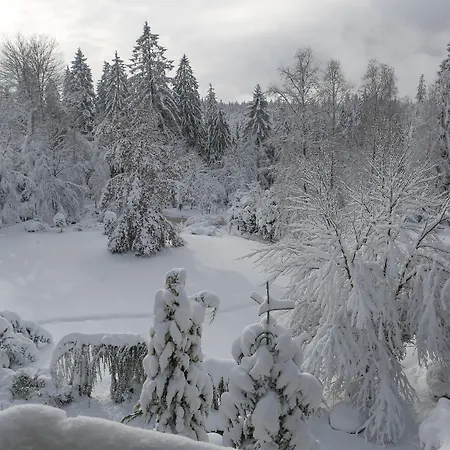 Hotel Waldblick 4*