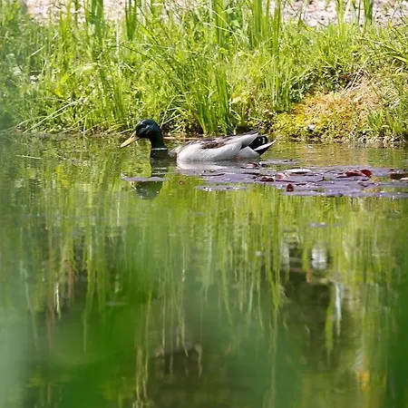 Waldblick 4* 크니에비스