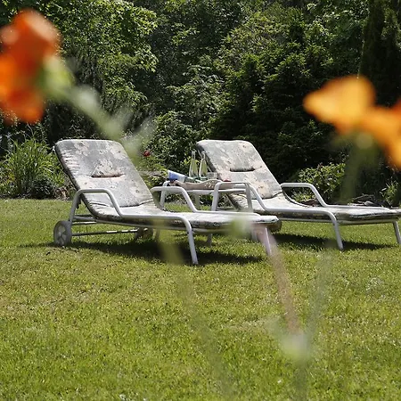 Waldblick Hotel Kniebis