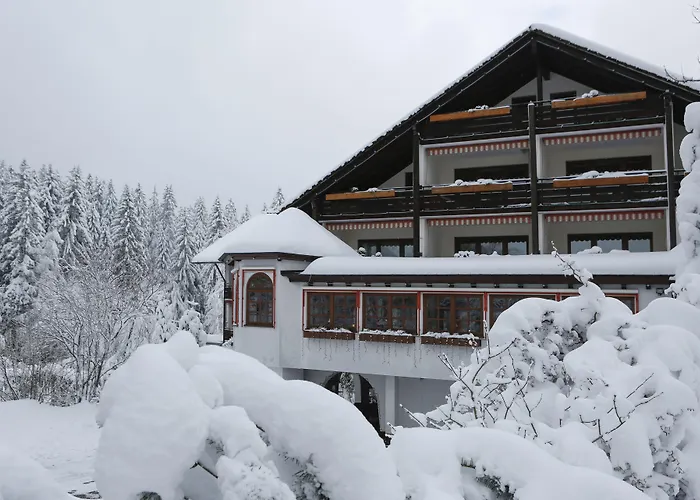 Ξενοδοχείο Waldblick