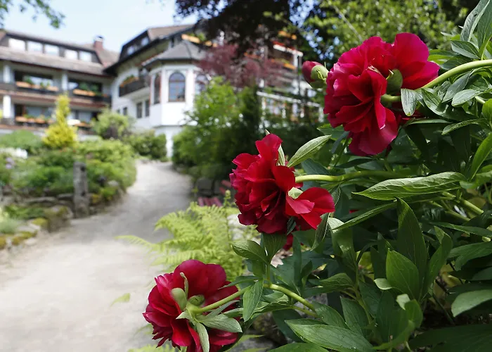 Waldblick Ξενοδοχείο Kniebis