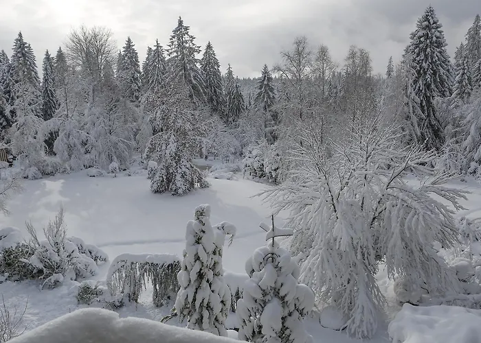 Waldblick Ξενοδοχείο Kniebis